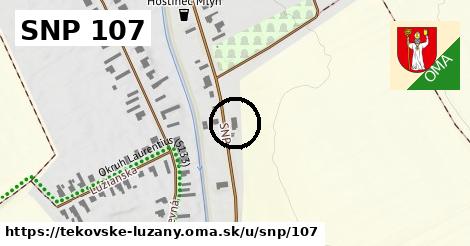 SNP 107, Tekovské Lužany