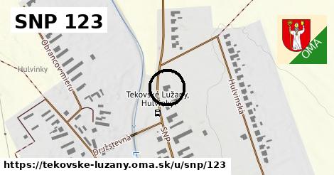 SNP 123, Tekovské Lužany