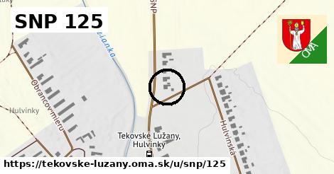 SNP 125, Tekovské Lužany