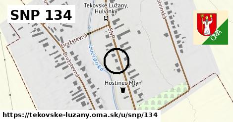 SNP 134, Tekovské Lužany