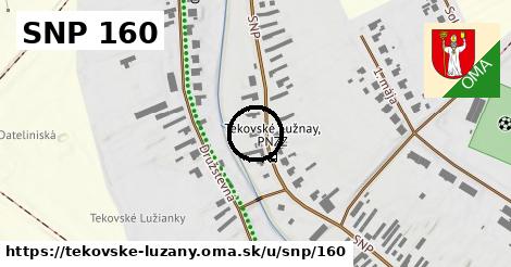 SNP 160, Tekovské Lužany