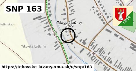 SNP 163, Tekovské Lužany