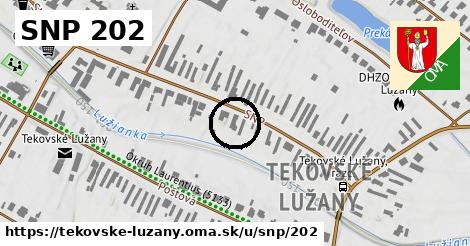 SNP 202, Tekovské Lužany