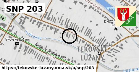 SNP 203, Tekovské Lužany
