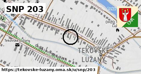 SNP 203, Tekovské Lužany