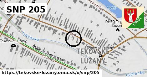 SNP 205, Tekovské Lužany