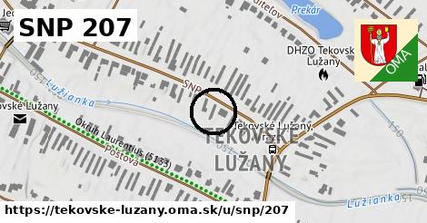 SNP 207, Tekovské Lužany