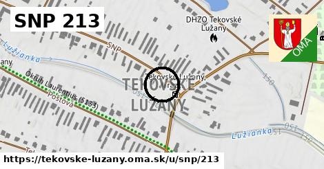 SNP 213, Tekovské Lužany