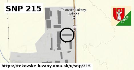 SNP 215, Tekovské Lužany