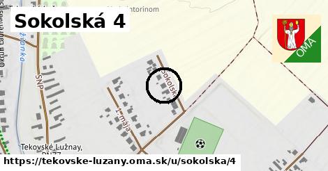 Sokolská 4, Tekovské Lužany