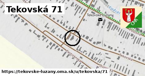 Tekovská 71, Tekovské Lužany