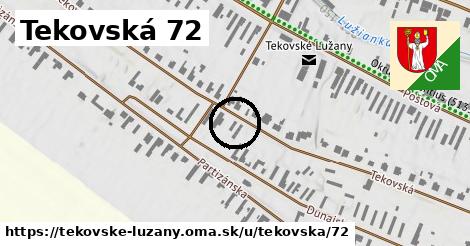 Tekovská 72, Tekovské Lužany