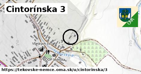 Cintorínska 3, Tekovské Nemce