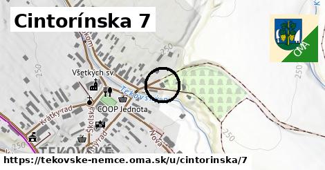 Cintorínska 7, Tekovské Nemce