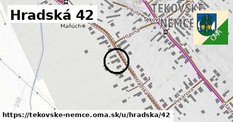 Hradská 42, Tekovské Nemce