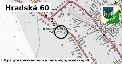Hradská 60, Tekovské Nemce