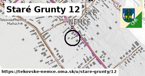 Staré Grunty 12, Tekovské Nemce