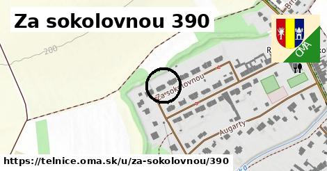 Za sokolovnou 390, Telnice