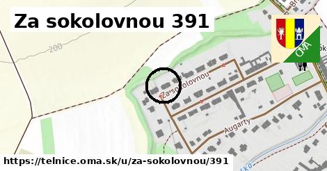 Za sokolovnou 391, Telnice