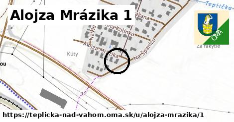 Alojza Mrázika 1, Teplička nad Váhom