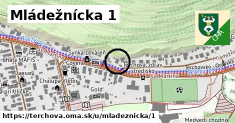 Mládežnícka 1, Terchová
