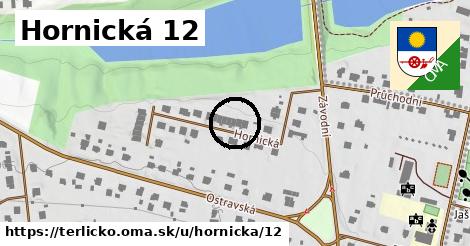 Hornická 12, Těrlicko