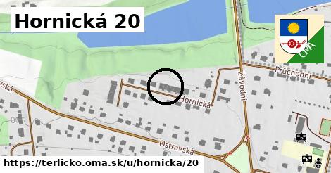 Hornická 20, Těrlicko