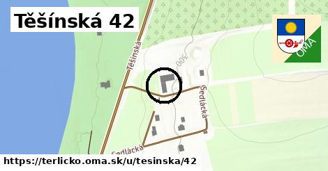 Těšínská 42, Těrlicko
