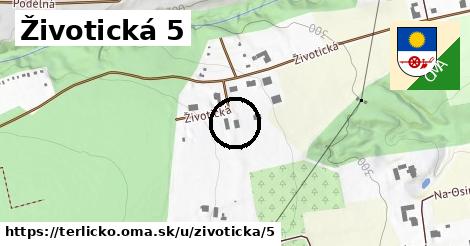 Životická 5, Těrlicko