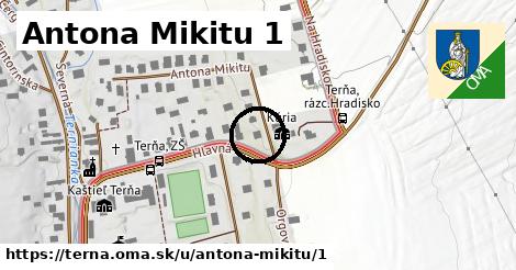 Antona Mikitu 1, Terňa