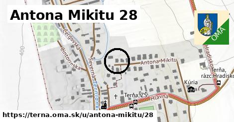 Antona Mikitu 28, Terňa