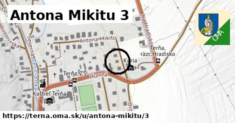 Antona Mikitu 3, Terňa