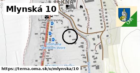 Mlynská 10, Terňa