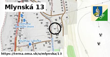 Mlynská 13, Terňa