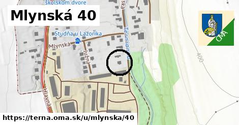 Mlynská 40, Terňa