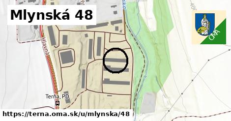 Mlynská 48, Terňa