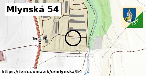 Mlynská 54, Terňa