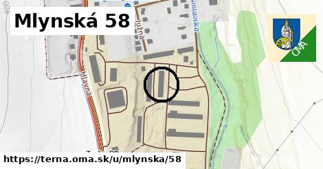 Mlynská 58, Terňa