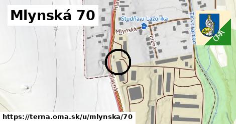 Mlynská 70, Terňa