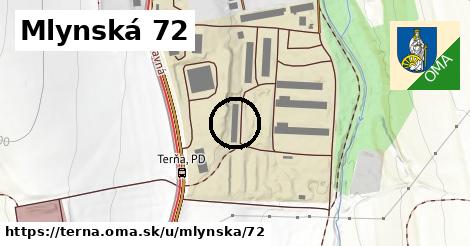 Mlynská 72, Terňa