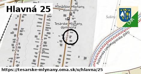 Hlavná 25, Tesárske Mlyňany