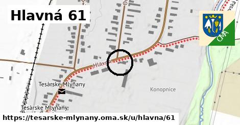 Hlavná 61, Tesárske Mlyňany