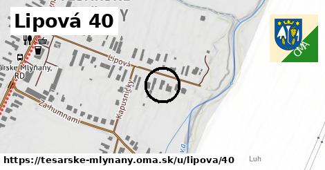 Lipová 40, Tesárske Mlyňany