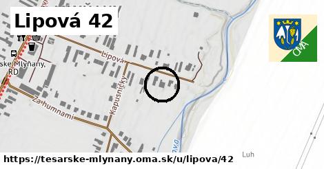 Lipová 42, Tesárske Mlyňany