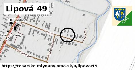 Lipová 49, Tesárske Mlyňany