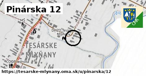 Pinárska 12, Tesárske Mlyňany