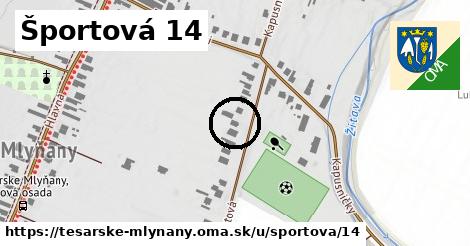 Športová 14, Tesárske Mlyňany
