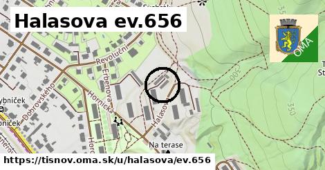 Halasova ev.656, Tišnov