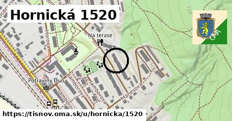 Hornická 1520, Tišnov