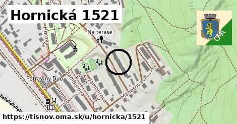 Hornická 1521, Tišnov